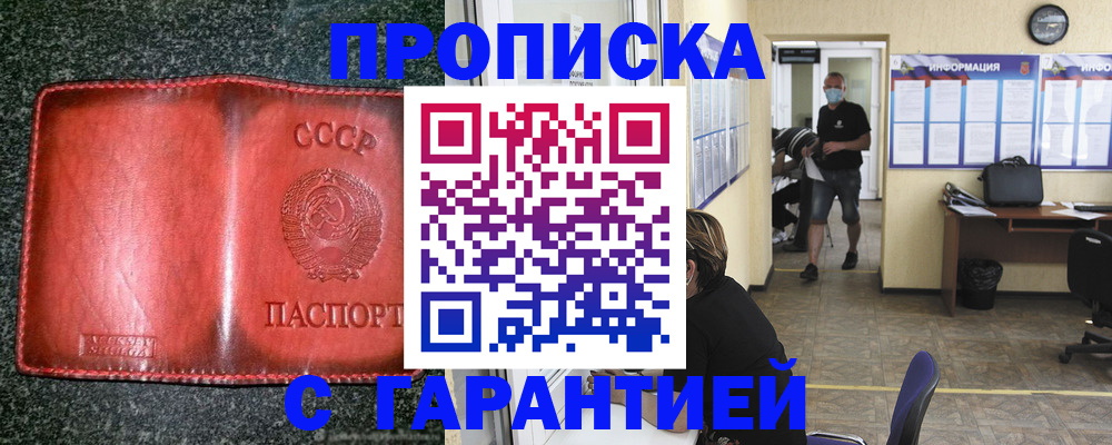прописка гарантия в Карабаново